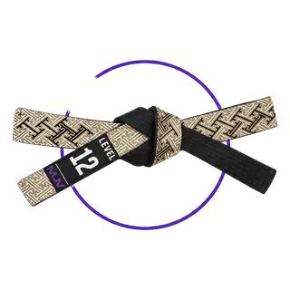 MUV Level 12 Belt